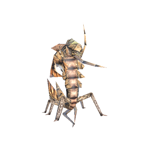 Centipede
