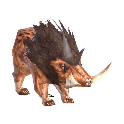 Wild Boar